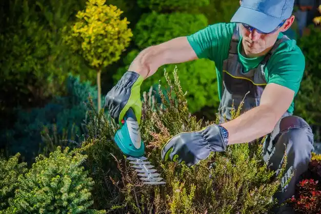 landscaping services Medford